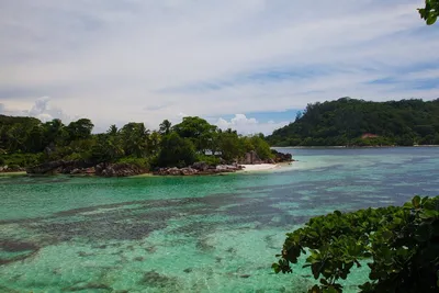 Половину участников уволят»: «ДОМ-2. Остров любви» на Сейшелах закрывается  | STARHIT