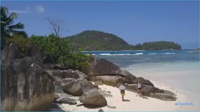Прогулка с черепахами и вертолетные экскурсии: чем заняться на Сейшельских  островах | Forbes Life