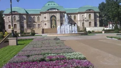 В ОРДО показали, что стало с резиденцией Ахметова в Ботаническом саду |  DonPress.com