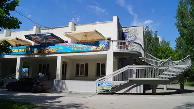 Файл:Дом-аквариум в Челябинске2.JPG — Википедия