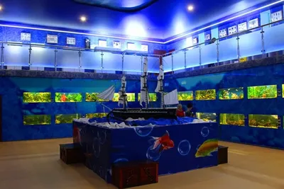 Дом-аквариум в Челябинске - Достопримечательность