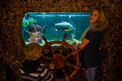 Отзыв о Дом-аквариум (Россия, Челябинск) | Кладовая удивительного мира