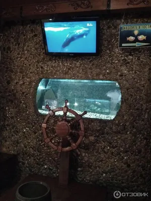 Нано аквариум в Вашем доме.