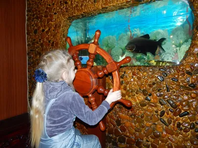 Аквариумный магазин Аква Блюз - продажа аквариумов в Челябинске