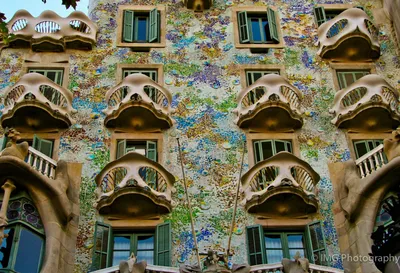 Casa Batlló Barcellona | Дом Бальо в Барселоне | Natalia Reznichenko  Photography, свадебный фотограф в Римини и Италии