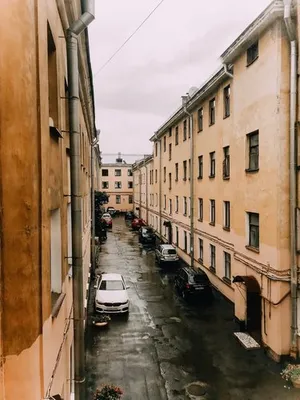 Мадонна Бенуа — Дом в центре петроградки