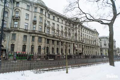 Мадонна Бенуа — Дом в центре петроградки