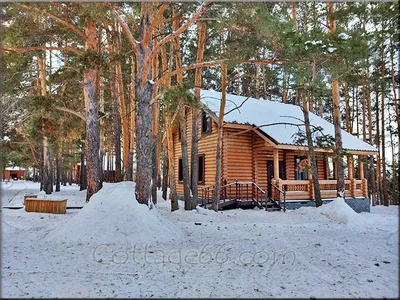 Приглашение на фотовыставку животное года «Дом бобра на берегу» |  Looduskalender