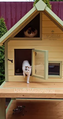 Когтеточка-домик для кошки | Пикабу