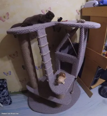 Домик для кошки своими руками (116 фото): пошаговые инструкции, схемы и  выкройки простого домика для кошки