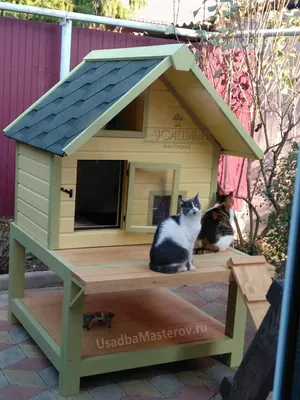 Идеи для домашних животных на даче и в квартире | Вдохновение (Огород.ru)