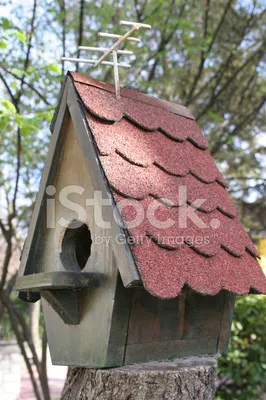 Дом птицы стоковое фото. изображение насчитывающей древесина - 30481626