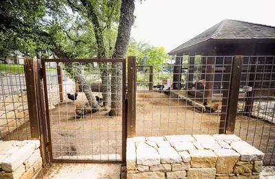 Джаред Падалеки, звезда «Сверхъестественного», показал свой фермерский дом  в Техасе