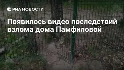 Вломившийся в дом Эллы Памфиловой разбойник ударил ее электрошокером -  Российская газета