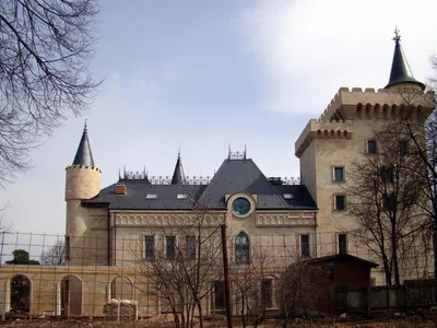 Алла Пугачева рассказала, что случилось с их замком в деревне Грязь