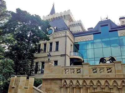 Замок Пугачевой и Галкина – кто купил – что в нем есть – как выглядит извне  и внутри – фото | OBOZ.UA