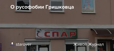 Виллы, пруд и морские животные: Гид по Марауненхофу | TVOYBRO.COM