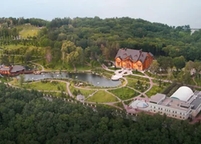 Дом Януковича стоит 10 млн долларов, - эксперт - dengi.ua