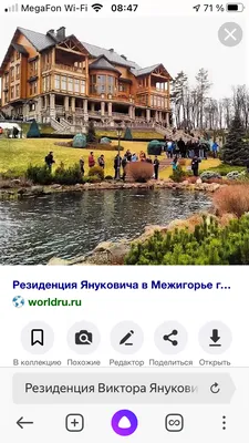 Freedom House: В Европе Янукович поплатился бы карьерой за Межгорье - 24  Канал