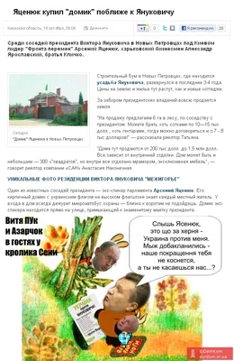 Сбитый камикадзе: чем запомнился уходящий премьер-министр Украины |  Forbes.ru