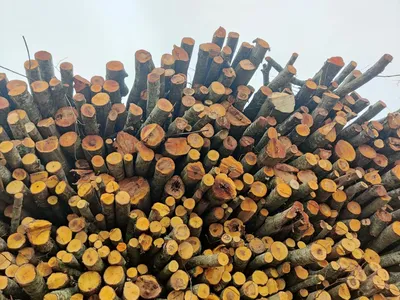 Дрова , lemne de foc, дрова с доставкой на дом, дрова колотые