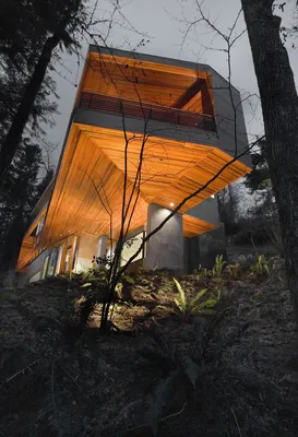 Зелёный Полюс - Этот дом чем-то похож на дом из фильма \"Сумерки\"😌 А вы как  думаете? #сумерки #кино #фильм #дом #дизайн | Facebook