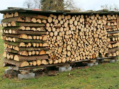 Как построить дом из дров? - ДомЭксперт | Cordwood homes, Natural building,  Natural building materials