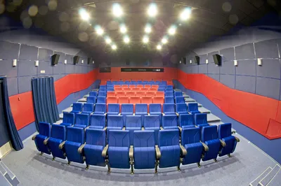 File:Спящие зрители на Кинопробе Большой зал Дома кино 2 декабря 2020  года.jpg - Wikimedia Commons