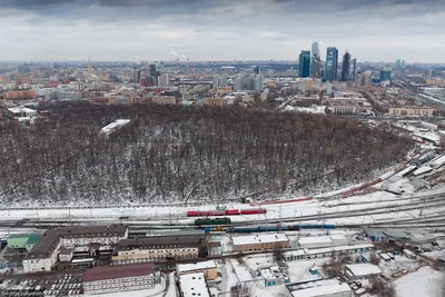 ЖК на Беговой 🏠 купить квартиру в Воронеже, цены с официального сайта  застройщика СЗ Высота, продажа квартир в новых домах жилого комплекса на  Беговой | Avaho.ru