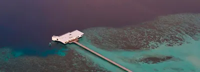 Распродажа ТОП-4 гостевых домов Мальдив - Wild Maldives