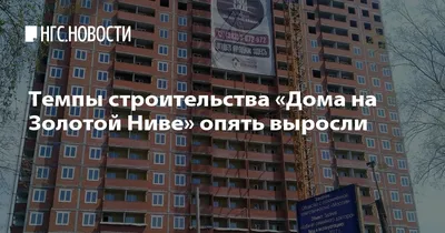 ЖК «Дом на Золотой Ниве» 🏙️: цены на квартиры в Новосибирске от  застройщика ООО «Роспроектстрой» | Новостройки | Авито