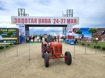 Загородный 🏠 дом 1100 м² в поселок Нива КП на Ильинском шоссе, цена 220  млн. руб. | Лот hs1415022