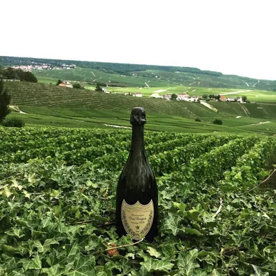 Шампанское Dom Perignon Rose Vintage 2005 Brut 0,75л 12,5% | VINTAGE