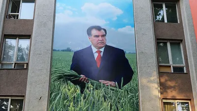 Таджикистан: народ недоедает, а Рахмон фотографируется на фоне гор еды |  Eurasianet
