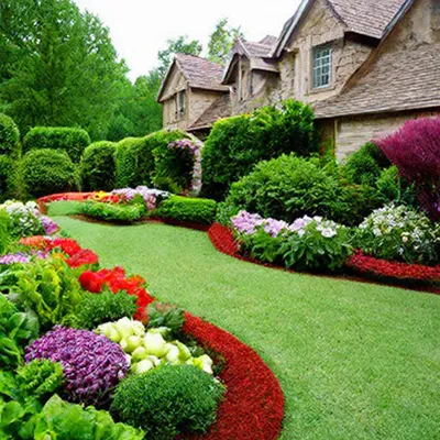 Дом сад огород» — создано в Шедевруме