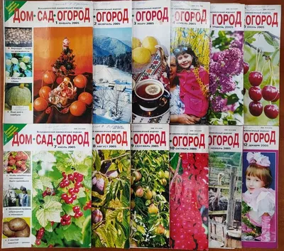 ДОМ🏡ДАЧА🌱САД🍒ОГОРОД🍅 (@blog_dacha) • Instagram photos and videos