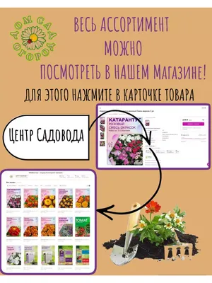 Маленький и ухоженный огород 😃👍 (источник: gofazenda) | Дачницы: дом,  дача, сад, цветы, идеи! | ВКонтакте