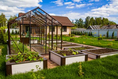 Лунный календарь садовода-огородника 2024. Сад, огород, здоровье, дом -  купить в Книги нашего города, цена на Мегамаркет