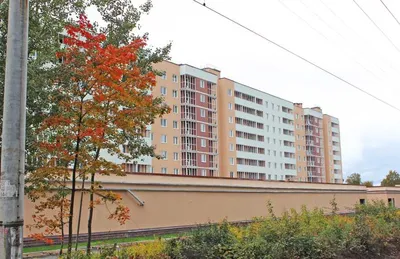 ЖК Дом у Разлива в Санкт-Петербурге 🏠 Планировки и цены на квартиры на  вторичном рынке.