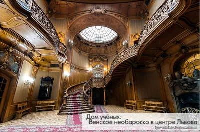 Дом Ученых Санкт-Петербург - экскурсия 2024 по дворцу, цены, расписание,  официально на сайте
