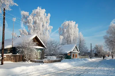 Хорошо зимой в деревне! - Фермовед - животноводство и сад | Facebook