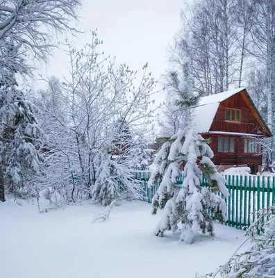 Дом в деревне зимой стоковое изображение. изображение насчитывающей пуща -  242027525