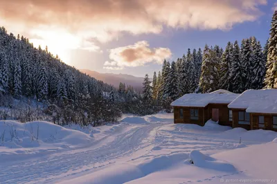 Дом в деревне зимой - красивые фото