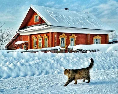 Дом в деревне зимой: фото, изображения и картинки