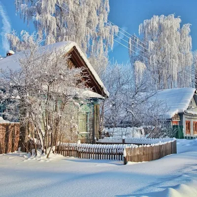 Деревянные дома в лесу зимой - 81 фото