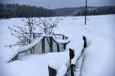 Дом в деревне зимой. много снега на крыше старого дома Стоковое Изображение  - изображение насчитывающей замораживать, рождество: 255530203