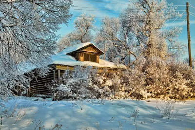Мой дом в деревне зимой | Пикабу