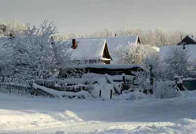 Зимушка-зима в деревне... | Деревенская жизнь... | Дзен