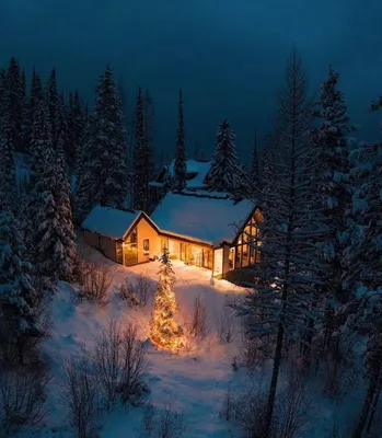 Дом в лесу покрыт густым снегом, …» — создано в Шедевруме