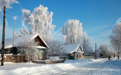 картинки : дерево, на открытом воздухе, холодно, зима, дом, Главная,  Погода, Задний двор, снежно, резиденция, Внешний, время года, идет снег,  Снегопад, передняя дверь, метель, Декабрь, Морозный, Январь, Замораживание,  зимняя буря 3456x2304 - -